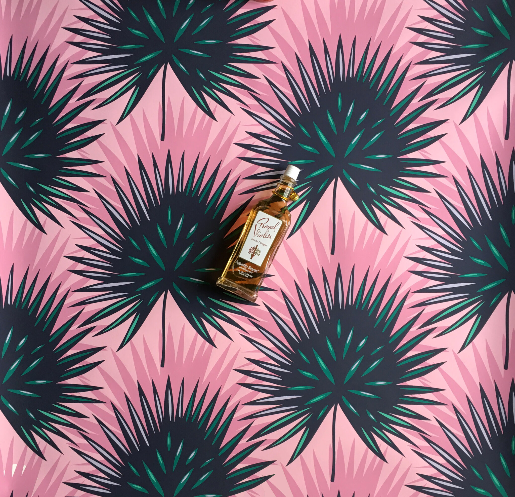 Petticoat Palm handmade wallpaper - Grow House Grow